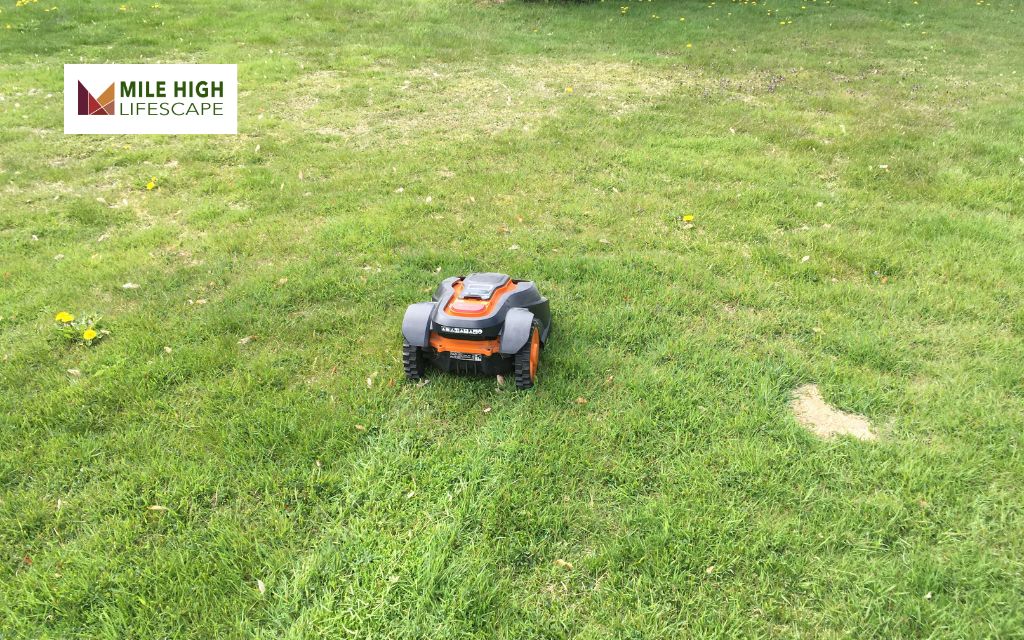 Best Practices for Proper Lawn Mowing