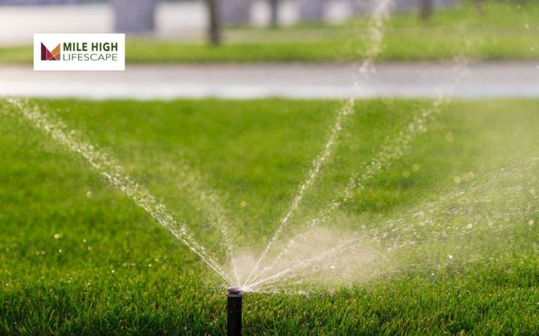 Best Time to Water Lawn: When and Why It Matters for a Healthy, Green Yard