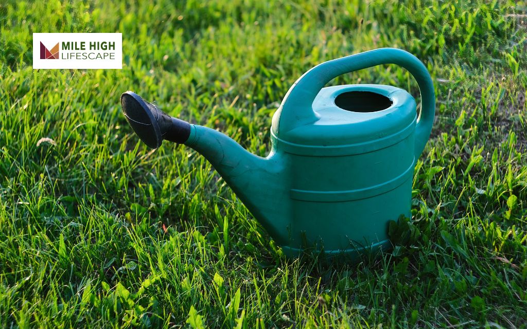 Common Lawn Watering Mistakes to Avoid