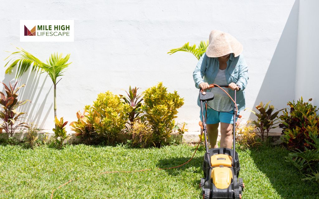 How To Reliable Lawn Care and Tree Removal Services