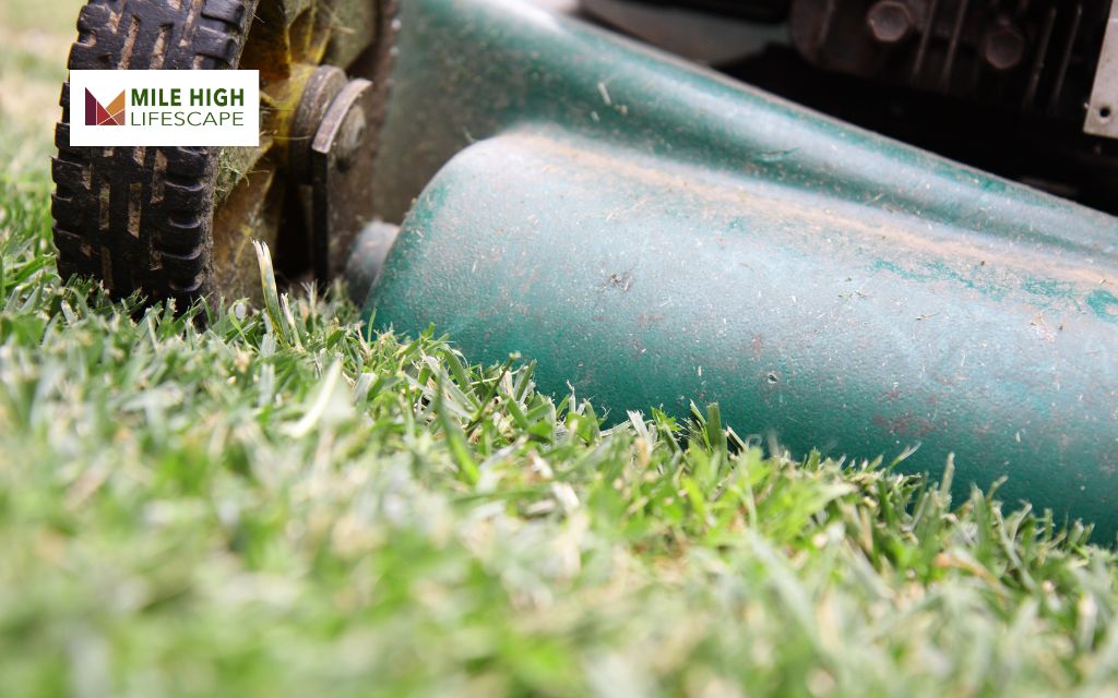 How To Stripe A Lawn: Lawn Striping Steps