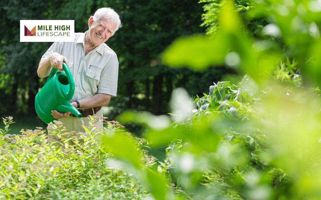 Seasonal Natural Lawn Care Guide