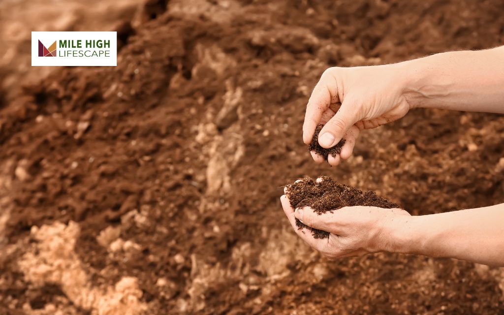 Step-by-Step Guide: How to Test Soil for Lawn