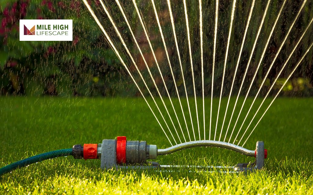 Tools and Techniques for Efficient Lawn Watering