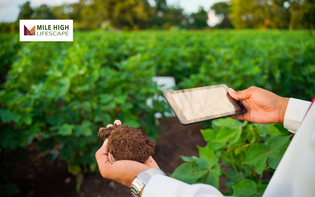 What is a soil test?