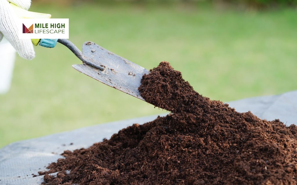 What Is Organic Lawn Fertilizer?