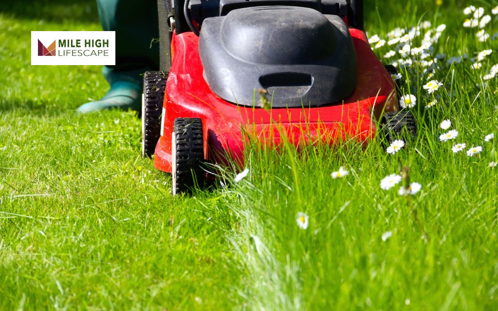 Why Proper Lawn Mowing Matters