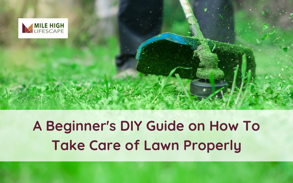 diy lawn care tips