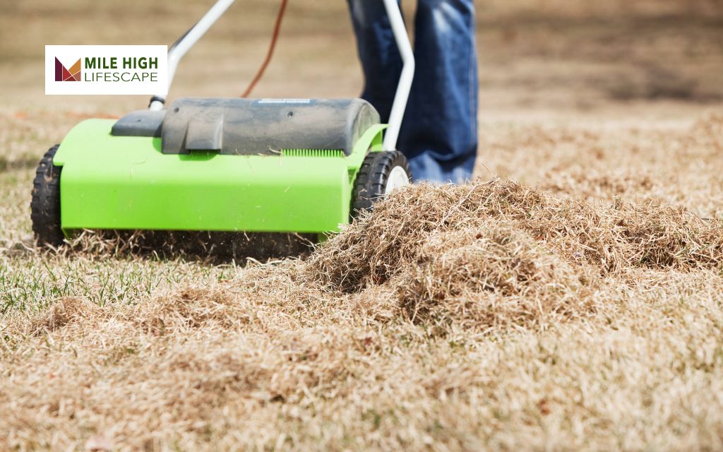 Aeration and Dethatching