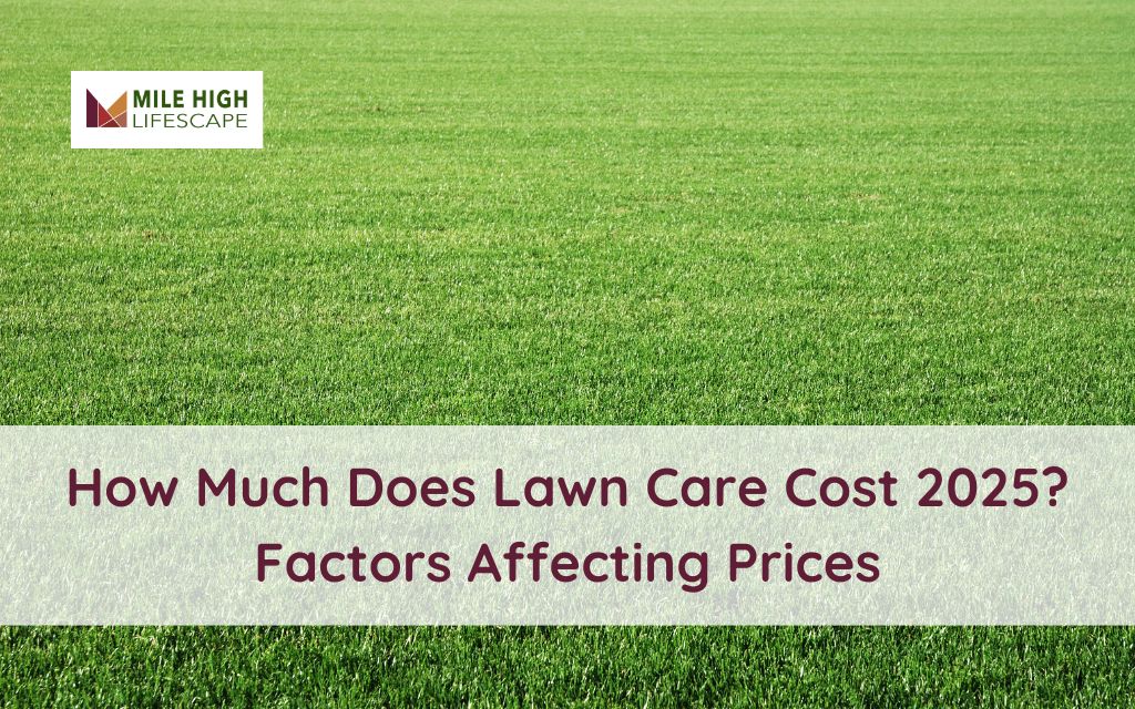 how much does lawn care cost in denver