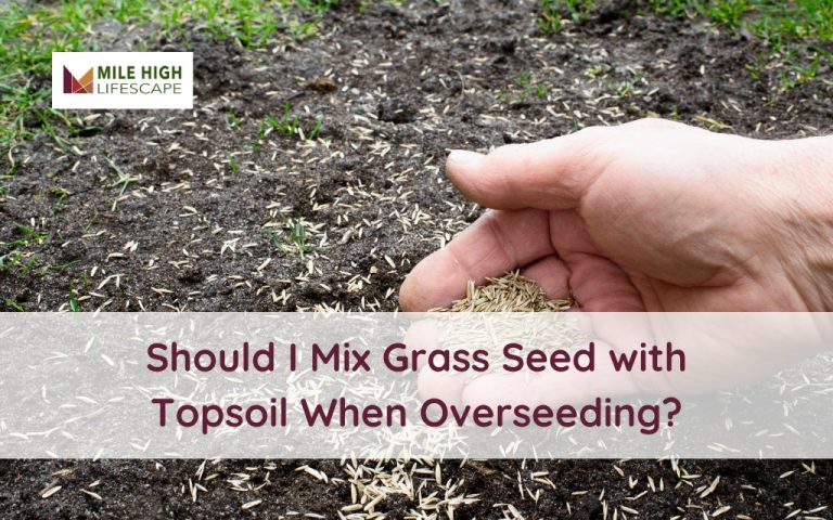 should i mix grass seed with topsoil when overseeding