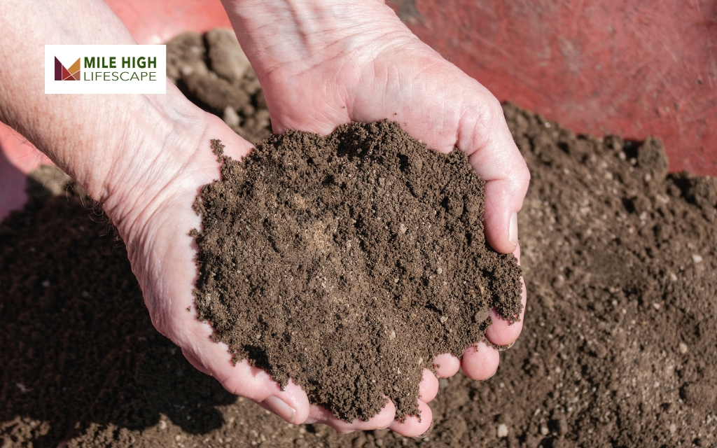 The Role of Topsoil in Lawn Health