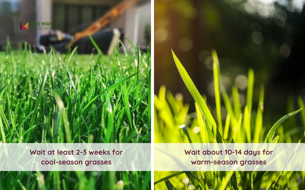 Waiting Time to Mow After Overseeding (by Grass Type)