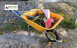 10+ DIY Lawn Care Tips for Beginners | Easy Detailed Guide