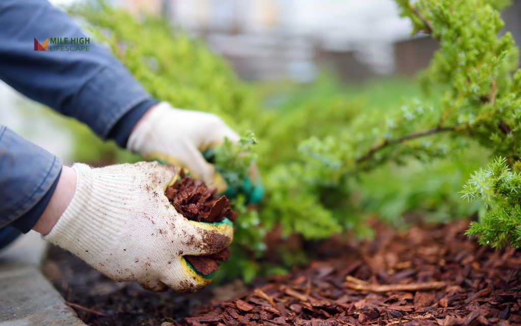 Benefits of Professional Mulch Installation