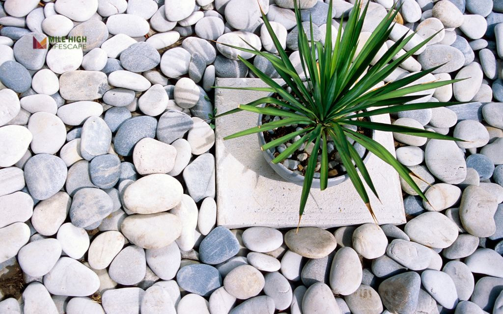 Benefits of Using Landscape Rock in Denver Landscapes