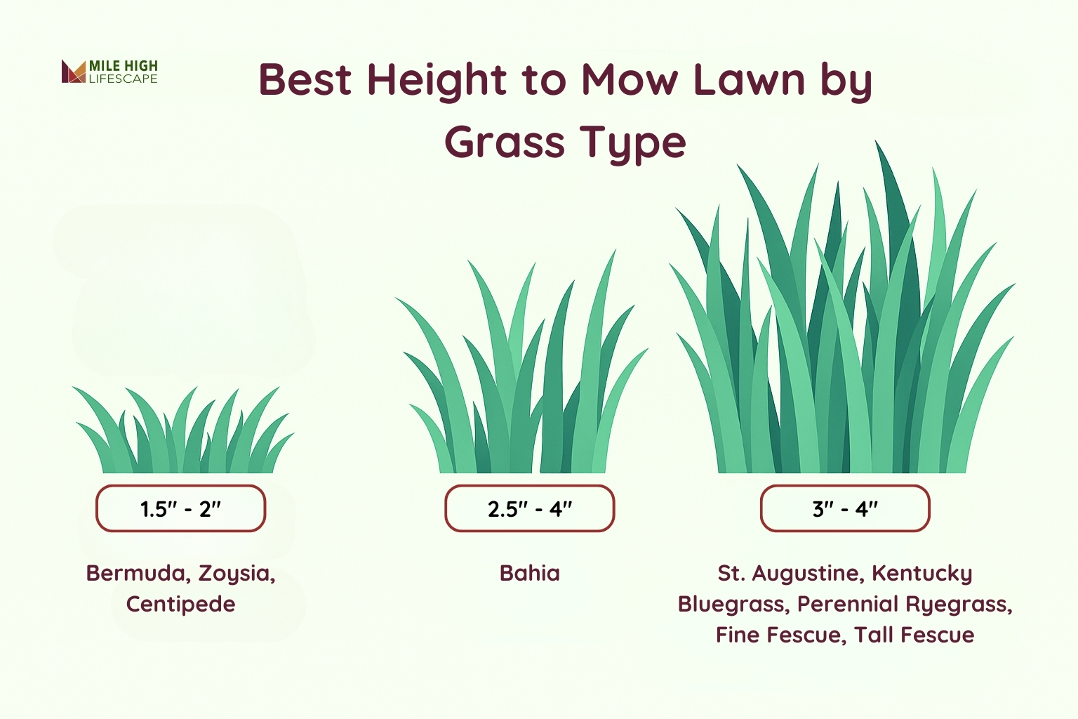 Best Height to Mow Lawn by Grass Type