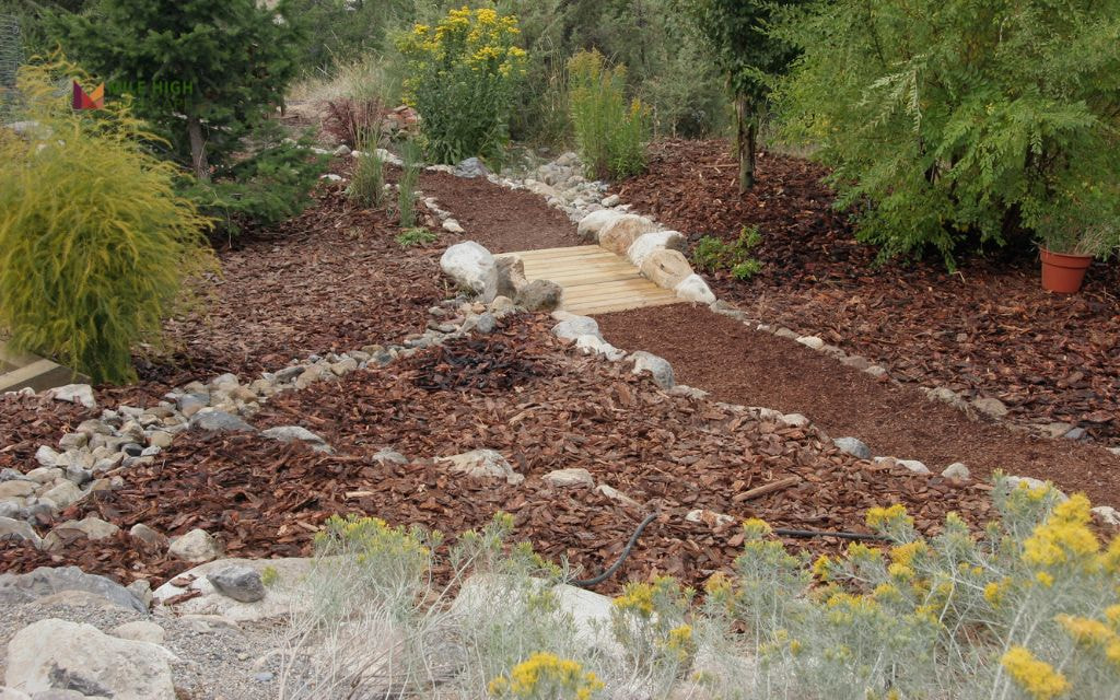 Erosion Control in Wash Park Sloped Backyard