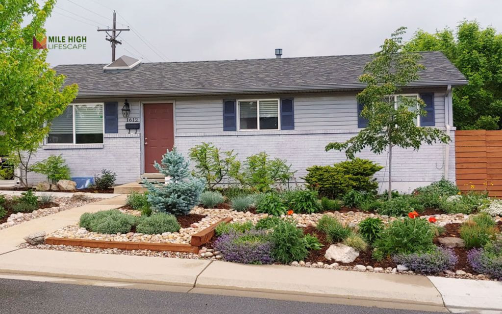 Front Yard Xeriscape in Highlands