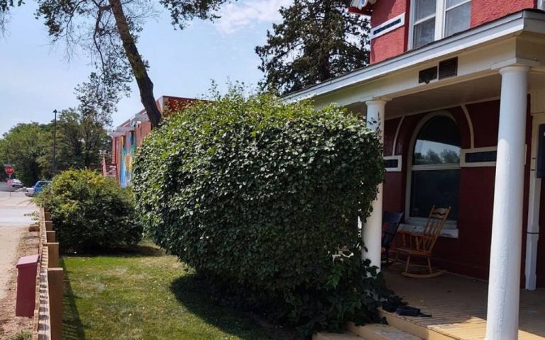 landscaping services project at Mile High Lifescape