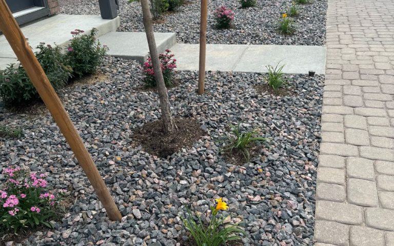landscaping services project at Mile High Lifescape