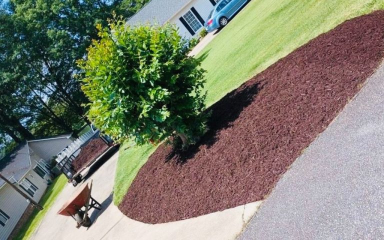 landscaping services project at Mile High Lifescape