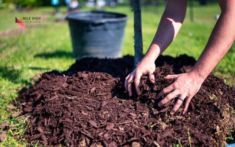 mulch installation near me
