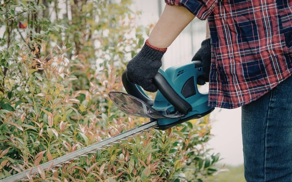 Our bush trimming process