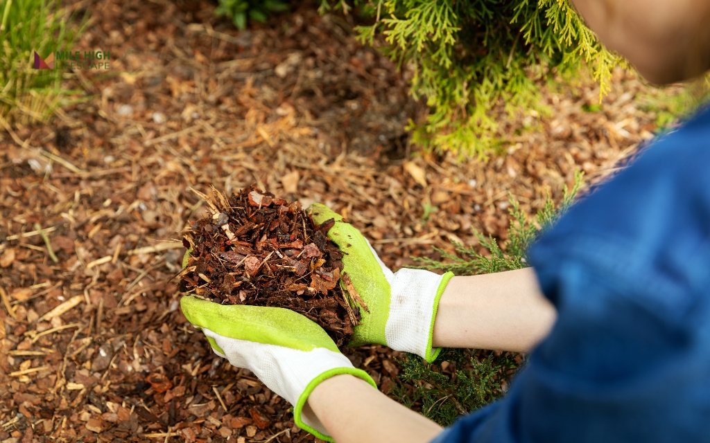 What is Mulch Installation?