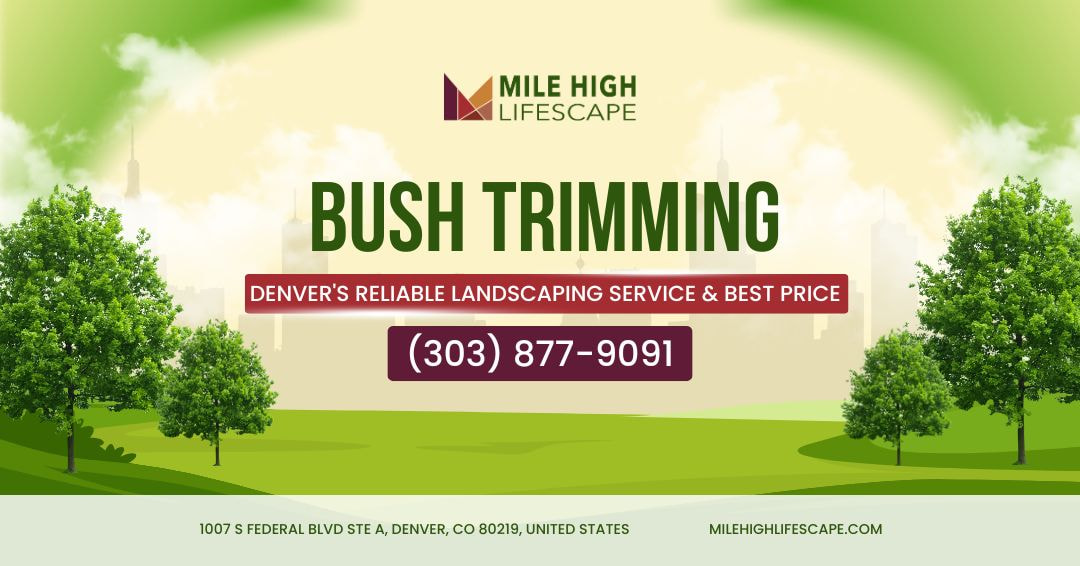 What Sets Mile High Lifescape Apart