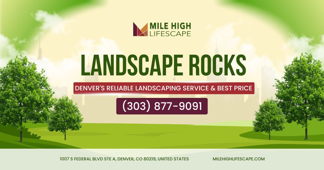 Why You Choose Trust Mile High Lifescape
