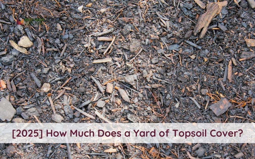 [2025] How Much Does a Yard of Topsoil Cover? Use This Guide Before You Buy