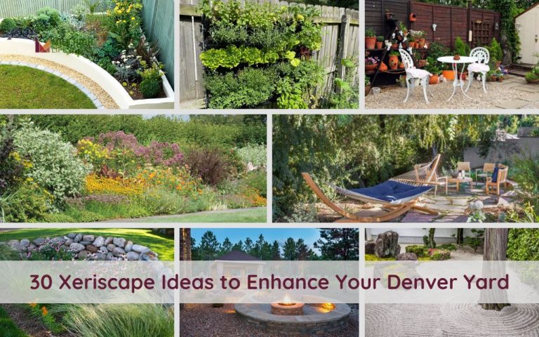 30 Denver Xeriscape Ideas to Reduce Water Usage and Costs