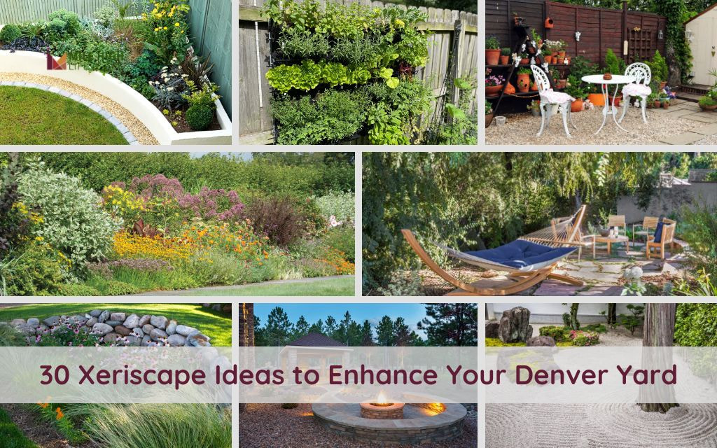 30 Denver Xeriscape Ideas to Reduce Water Usage and Costs