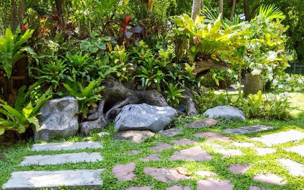 Backyard Wildlife Zone