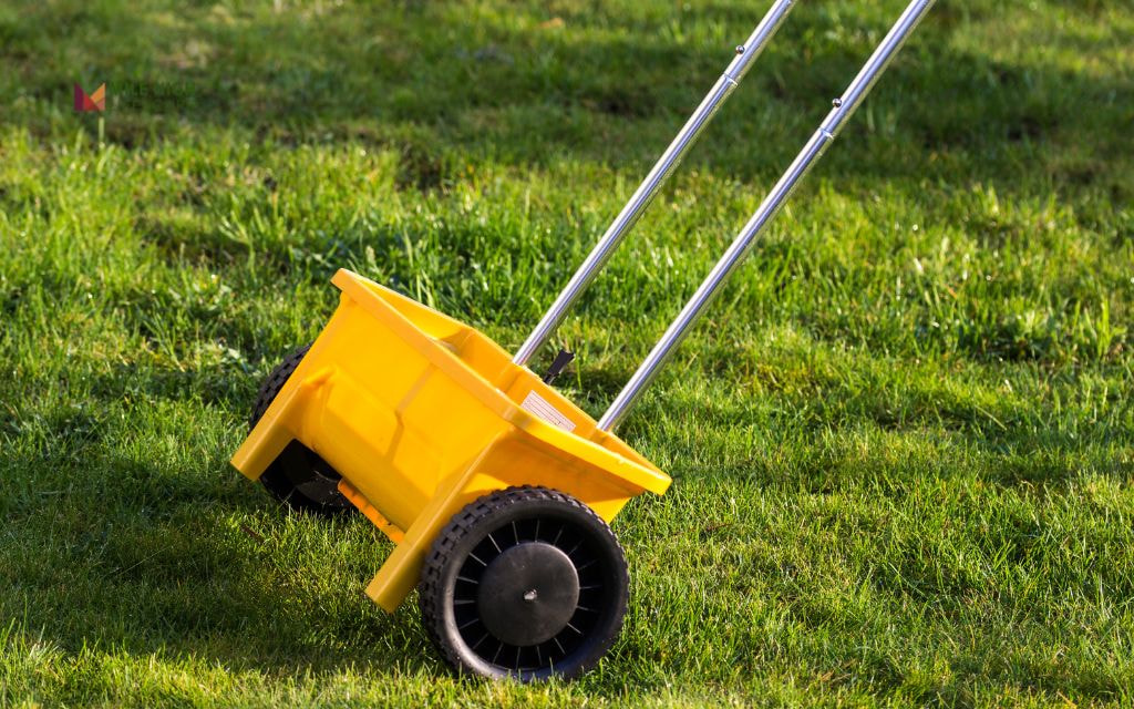 Best Practices for Fertilizing Your Lawn in Denver