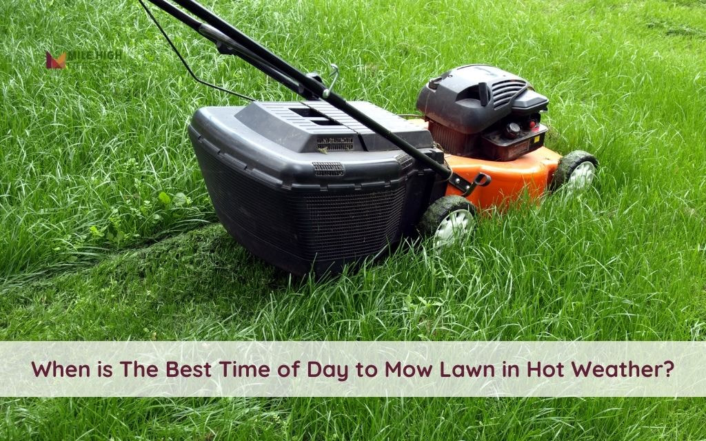 Best Time of Day to Mow Lawn in Hot Weather Without Damaging Grass in Denver