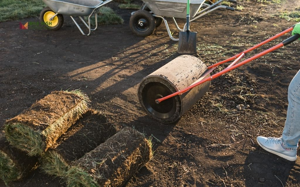 Common Mistakes to Avoid When Laying Sod in the Fall