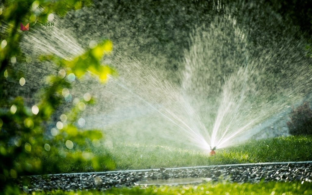 Common Mistakes When Watering Grass in Denver
