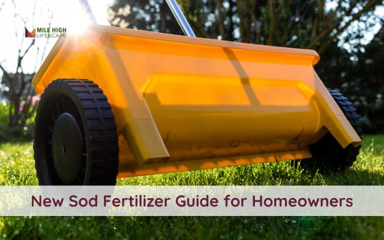 Comprehensive Guide to Fertilizing New Sod (What to Choose, When and How to Apply)