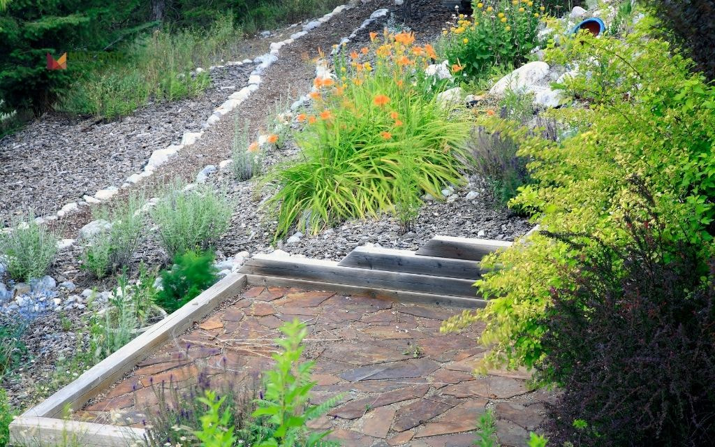 Disadvantages and Concerns of Xeriscaping?