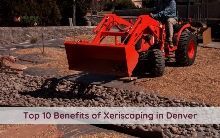 Discover 10 Benefits of Xeriscaping: A Smart Choice for Denver's Landscaping