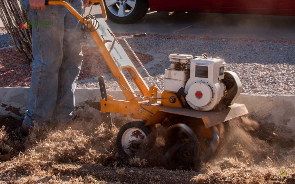 DIY Xeriscaping vs. Hiring a Professional in Denver (By Cost)