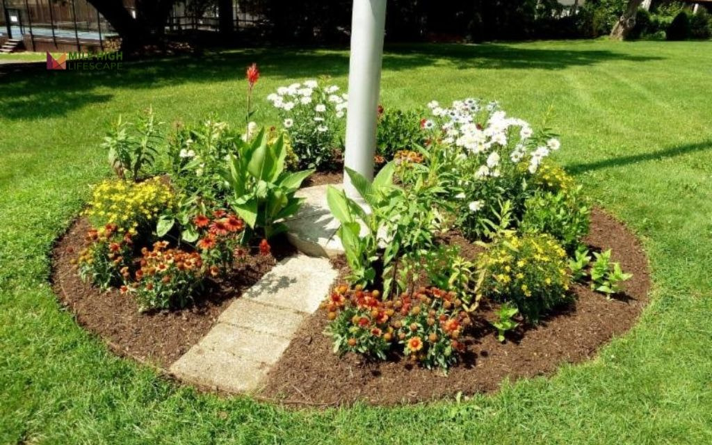 Flagpole Circle Garden with Structural Plants