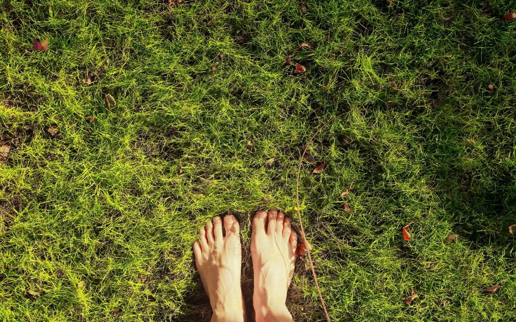 How Long Does It Take For Sod To Take Root?