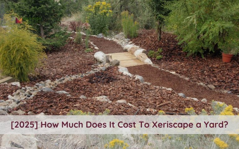 How Much Does It Cost To Xeriscape a Yard? 2025 Guide for Colorado Homeowners