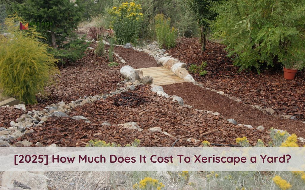 How Much Does It Cost To Xeriscape a Yard? 2025 Guide for Colorado Homeowners