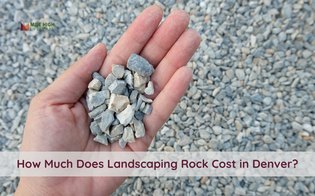 How Much Does Landscaping Rock Cost in Denver? A Detailed Pricing Breakdown