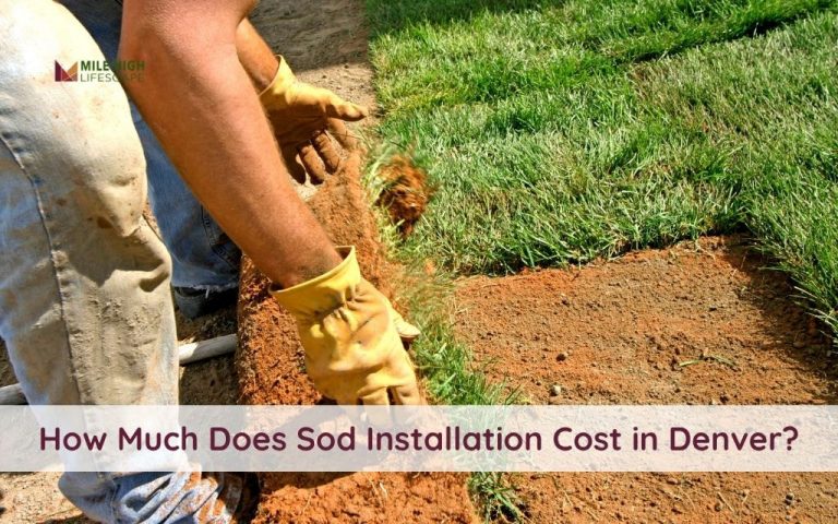 How Much Does Sod Installation Cost in Denver? (2025 Price Guide)