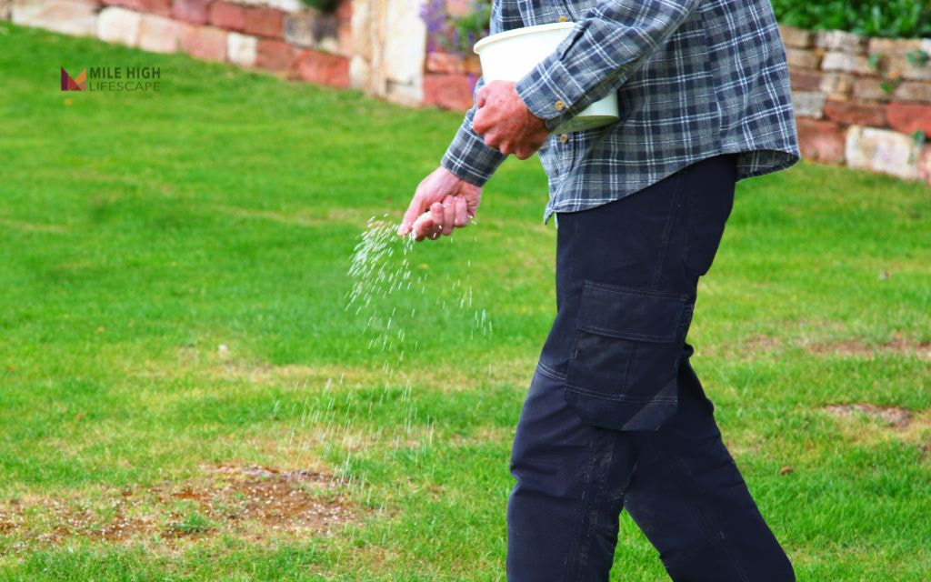 How Much Fertilizer Should I Apply?